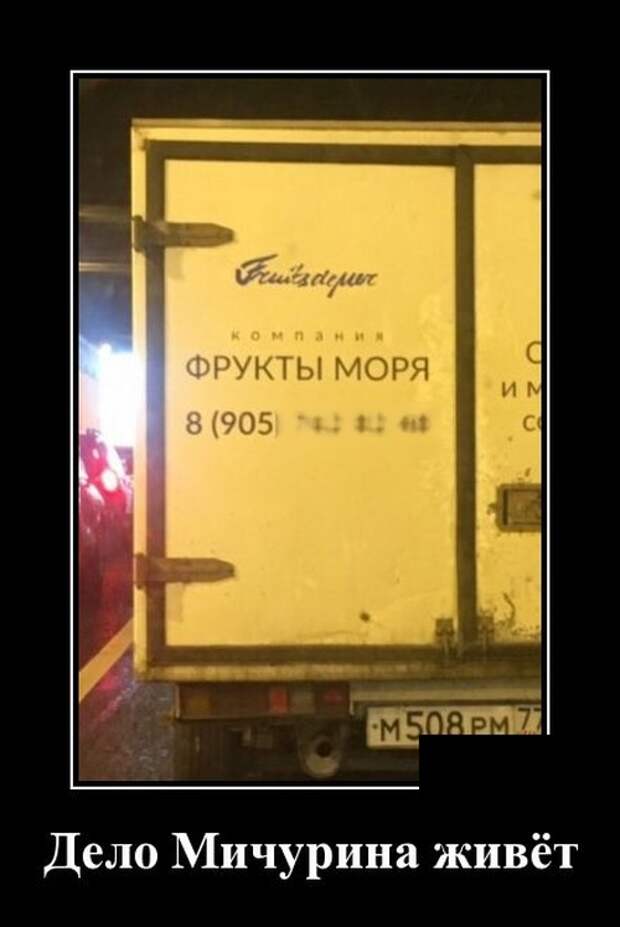 Забавные и новые демотиваторы. 543 ( 30 фото )