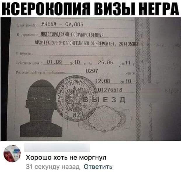 ПРИКОЛЬНЫЕ КАРТИНКИ # 51