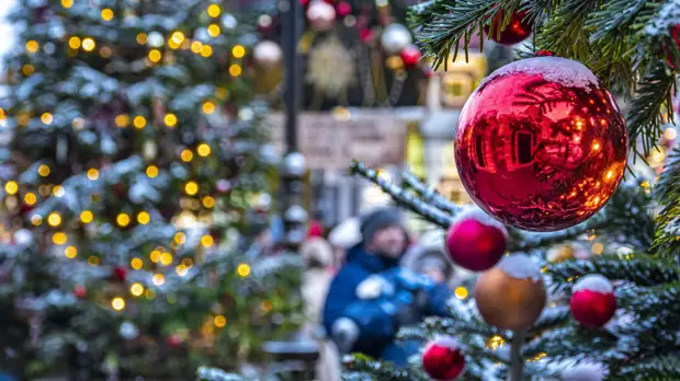 В Подмосковье назвали самые популярные музеи в новогодние праздники