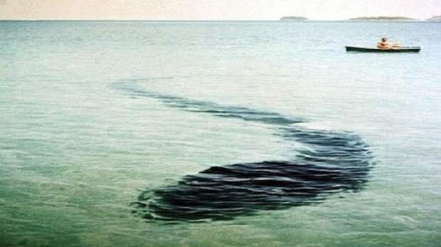 8. Морское чудовище острова Хук мир, нло, обман, призрак, фото, фотомонтаж, явление