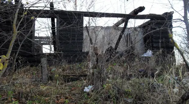 «Бегаю туда-сюда всю жизнь»: в Тверской области ветерану-погорельцу 15 лет не дают жильё