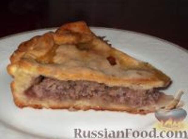 Фото к рецепту: Фыдчин (осетинский пирог с мясом)