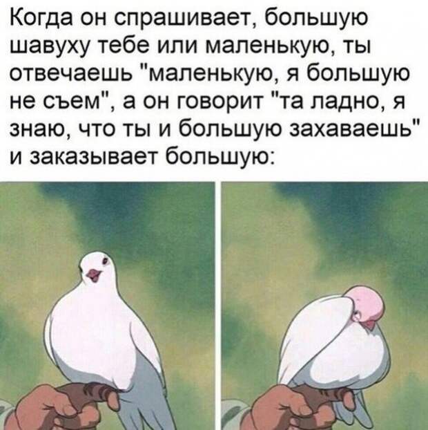 Прикольные и смешные картинки