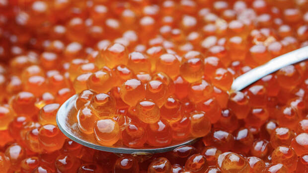 Врач Кашух: безопасная порция красной икры составляет 20—30 г в неделю