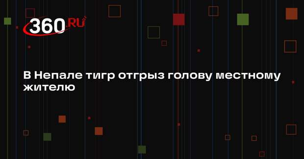 Republica: тигр откусил голову местному жителю в Непале