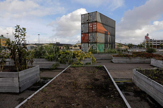 Огород в город