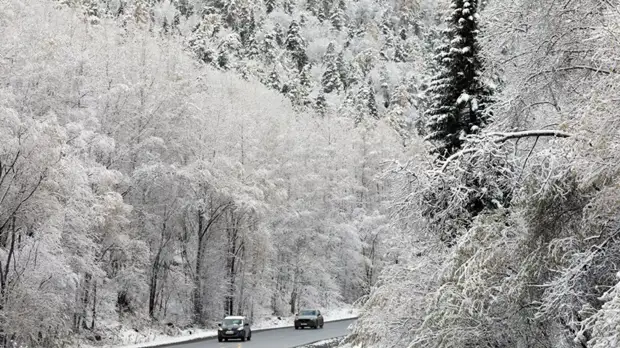 В Омской области предупредили о похолодании