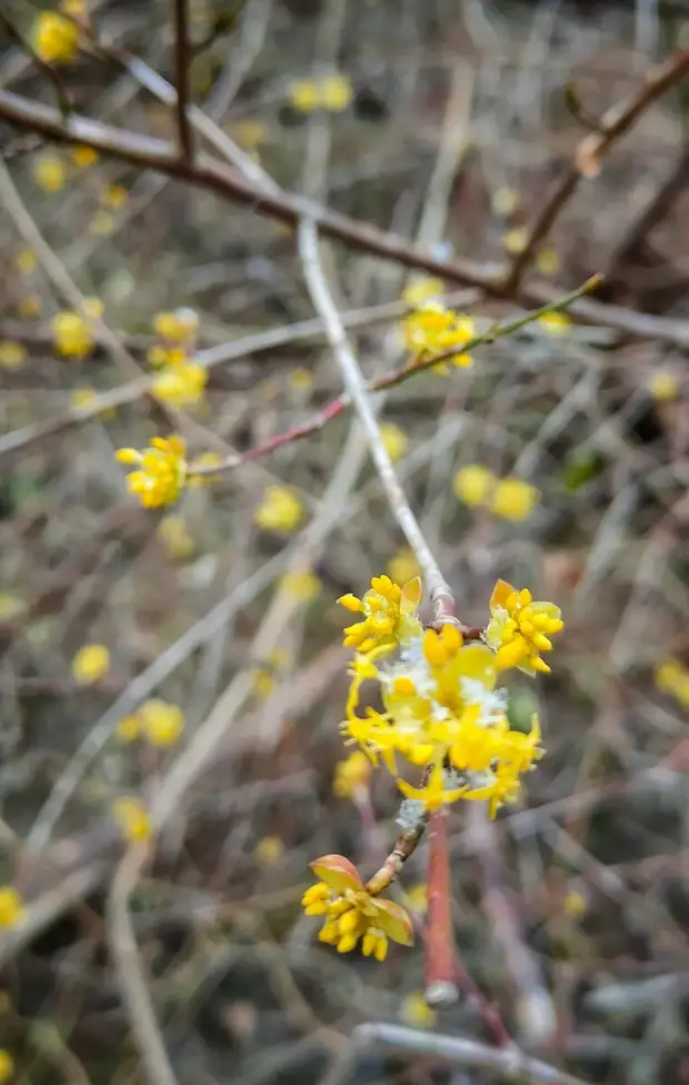 Красоты матушки-России. Станица Шапсугская