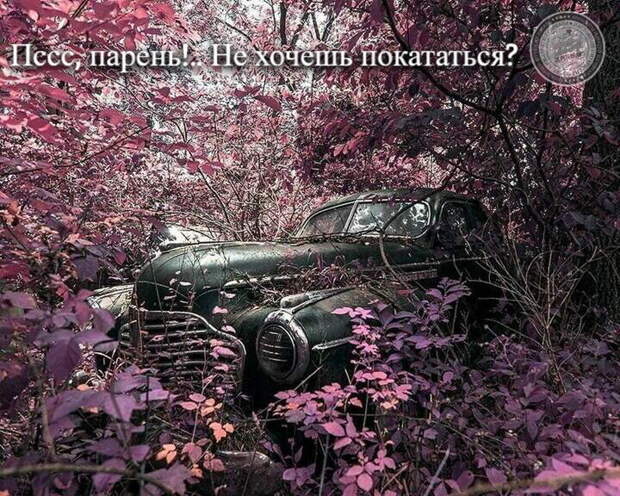 Хочешь покататься