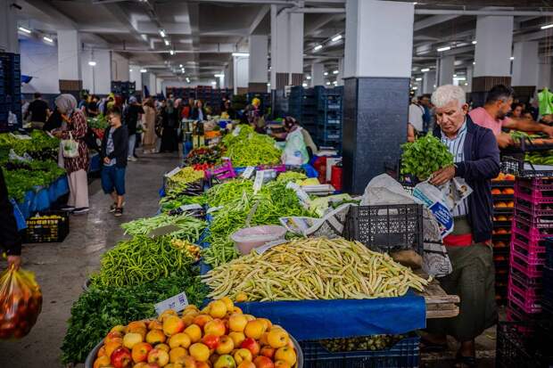 Страна НАТО компенсировала России снижение поставок овощей из Ирана