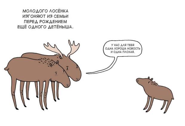 лоси