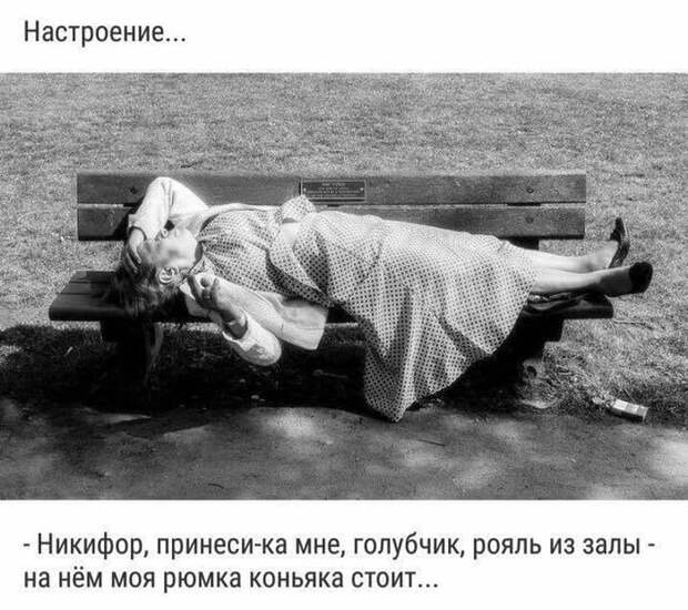 Сборник юмора для позитивного настроения
