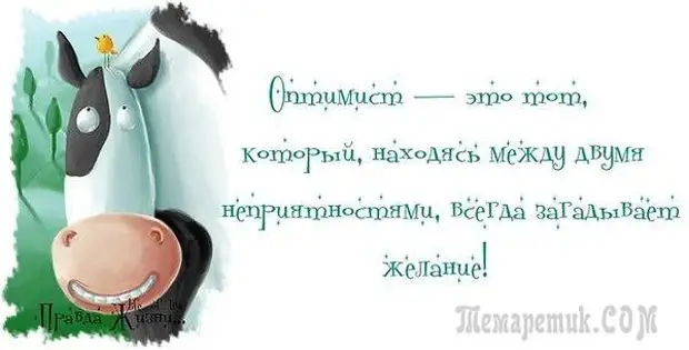 Смешные открытки с философские уклоном
