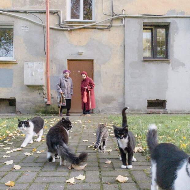 16 жизненных фото российской глубинки фотографа Дмитрия Маркова