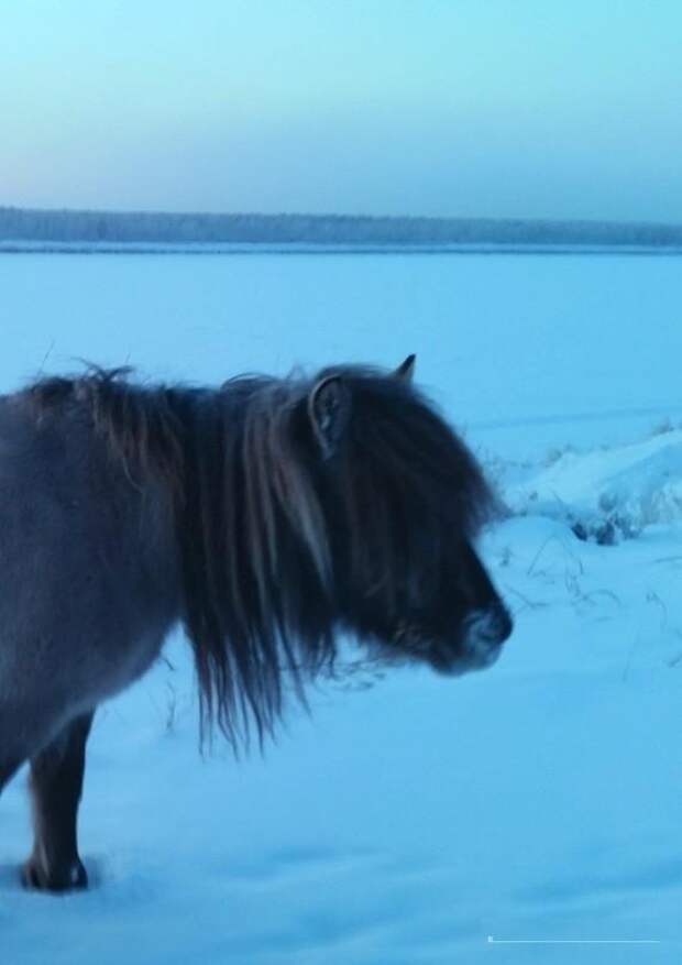 52 ниже нуля 52 ниже нуля