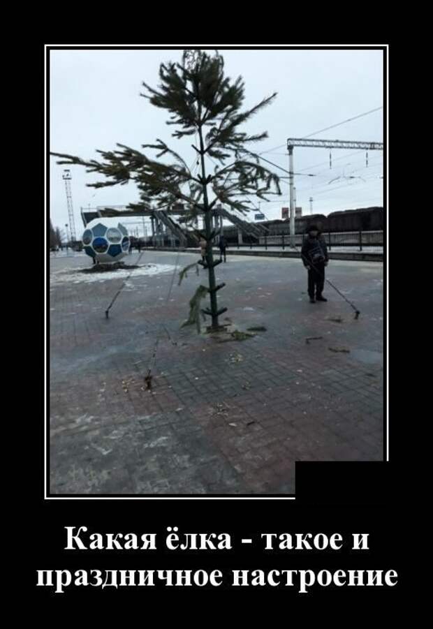 Демотиваторы. Я балдею!
