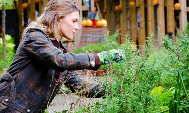 Удивятся даже садоводы со стажем: зачем весной посыпать дачный участок черным перцем