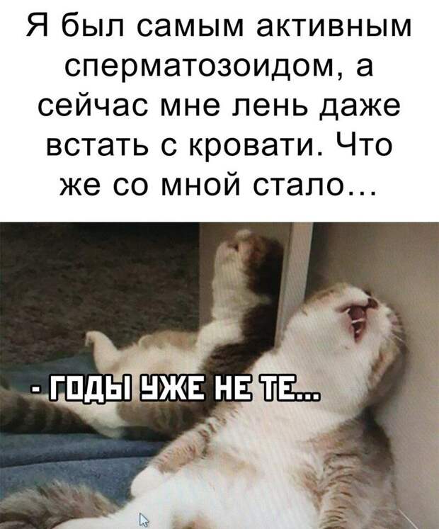 Комментарии и картинки из соцсетей
