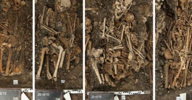 В Базеле при ремонте концертного зала нашли останки жертв последней швейцарской эпидемии чумы