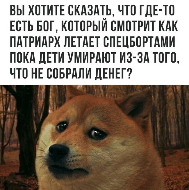 Почему у нас всегда найдутся неверующие Почему у нас всегда найдутся неверующие