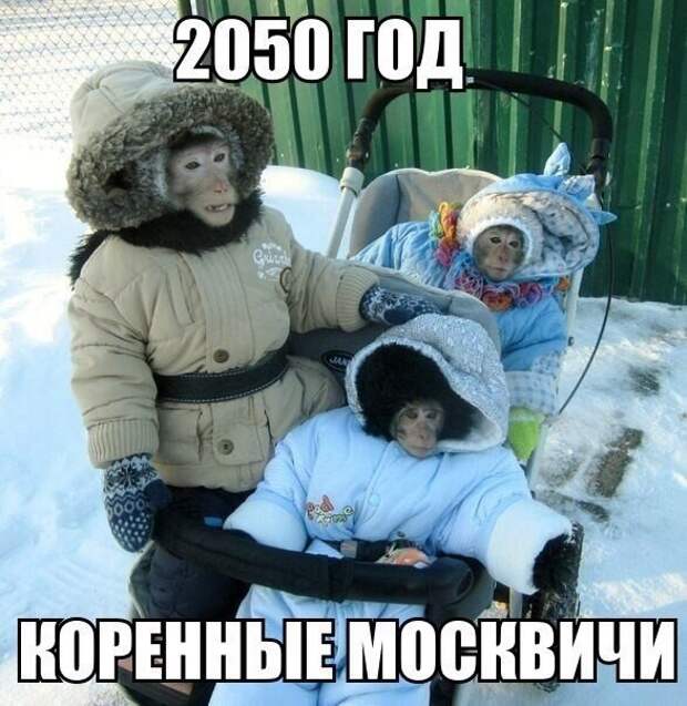 Смешные картинки с надписями прикол, юмор