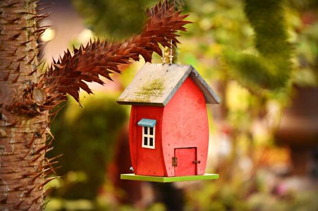 birdhouse-3602238_1920 alt