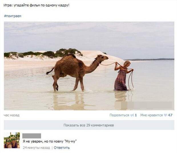 Бедный верблюд комменту жгут, комменты, пользователи комментируют, прикол, смешные комментарии, соцсети, фото