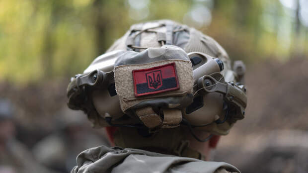 Жительница Белгородской области: оператор дрона ВСУ издевался над бабушкой с козой