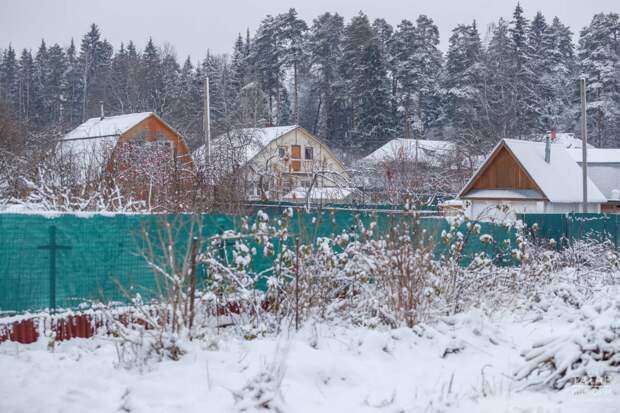 Белгеч бакчачыларның кышын үсемлекләргә зыян китерә ала торган хаталарын атады