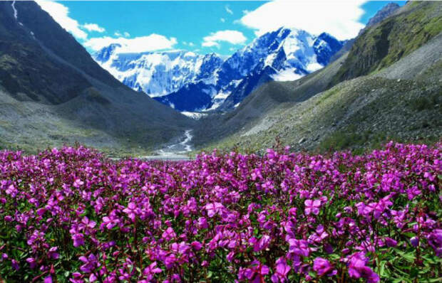 Гора Белуха - одна из крупнейших горных вершин России