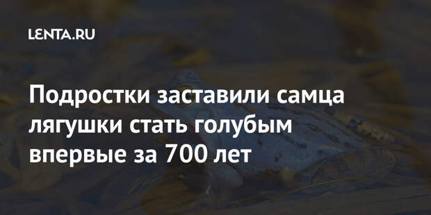 Подростки заставили самца лягушки стать голубым впервые за 700 лет