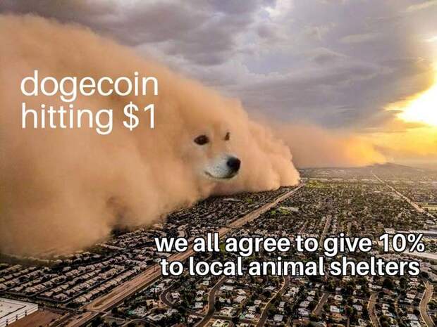 doge coin 1$