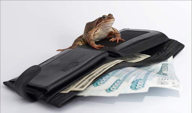 Кого и за что 