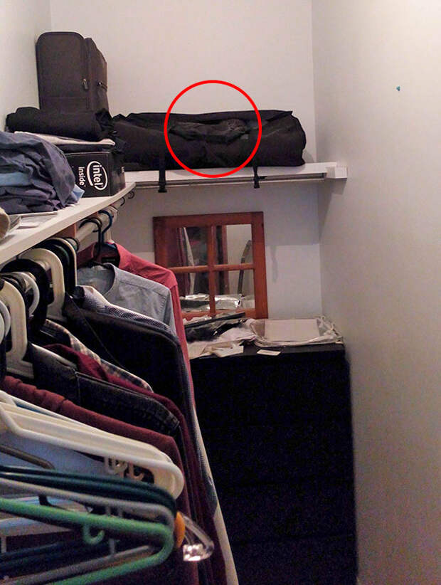 find-hidden-cat-camouflage-hide-and-seek-catouflage-221