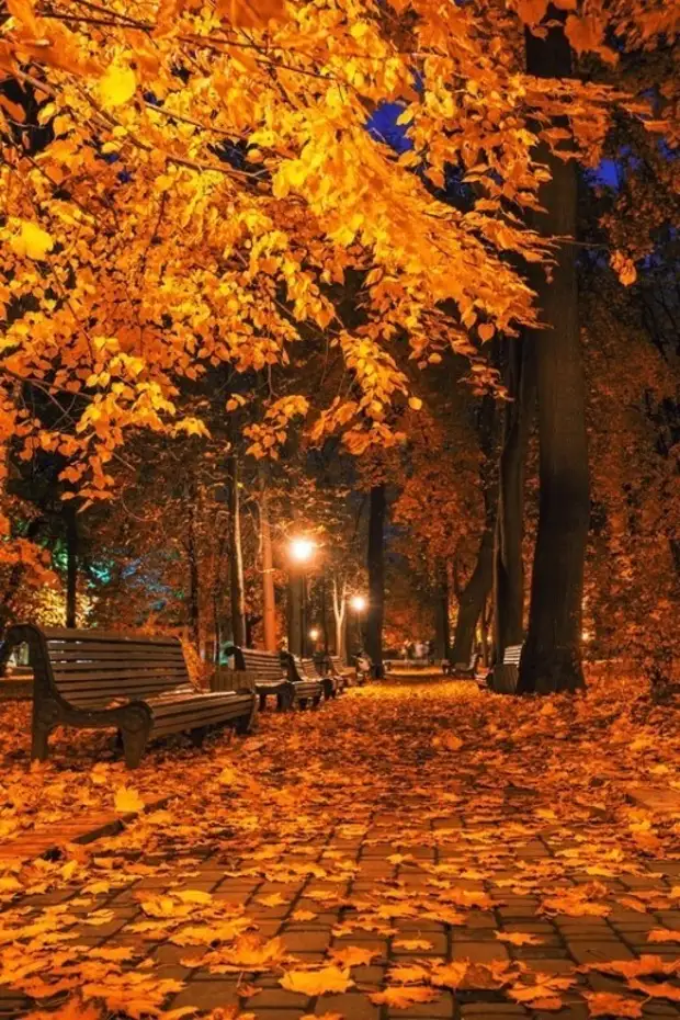 �������� ���������� � ������� �����.