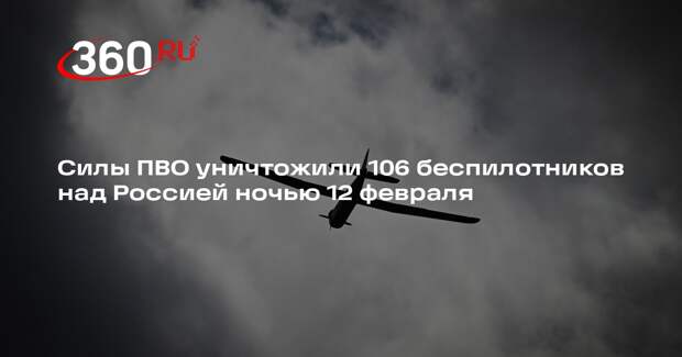 Силы ПВО уничтожили 106 беспилотников над Россией ночью 12 февраля