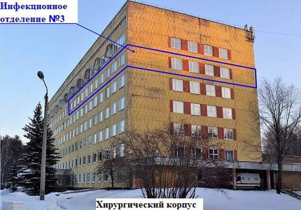 Сражение с COVID-19. Глазами обывателя