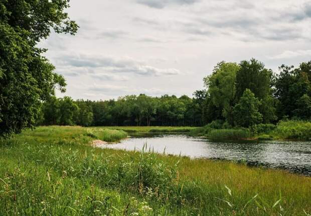 На реке Угра установят природоохранные зоны