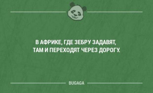 Смешные мысли и короткие анекдоты. Часть 88 (18 шт)