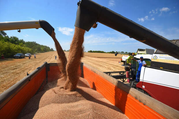 В России появились четкие правила для продажи фермерских продуктов