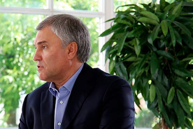 Вячеслав Володин