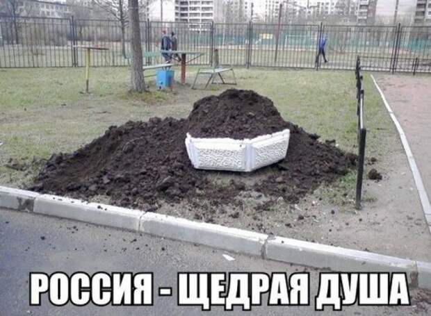 Забавные фотомемы (24 шт)