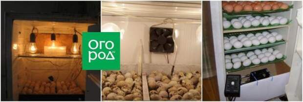 Инкубатор из старого холодильника