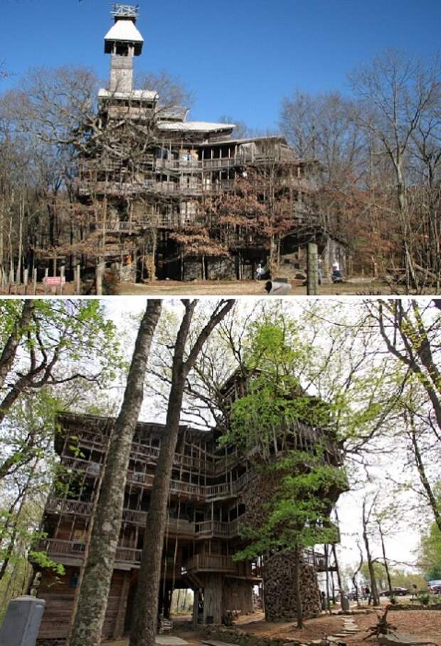 Дом на дереве занесен в Книгу рекордов Гиннесса. Дом на дереве занесен в Книгу рекордов Гиннесса.