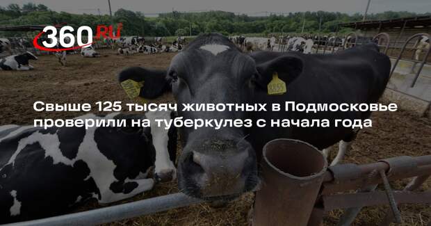 Свыше 125 тысяч животных в Подмосковье проверили на туберкулез с начала года