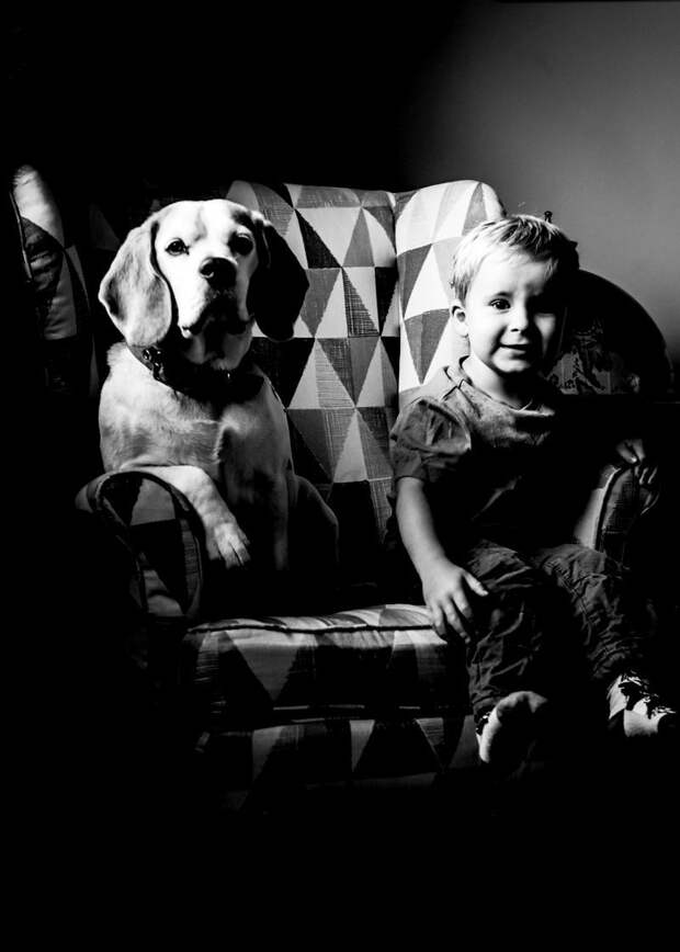 Сентябрь 2017 взросление, изменение, собака, собака - друг человека, фотограф, фотопроект