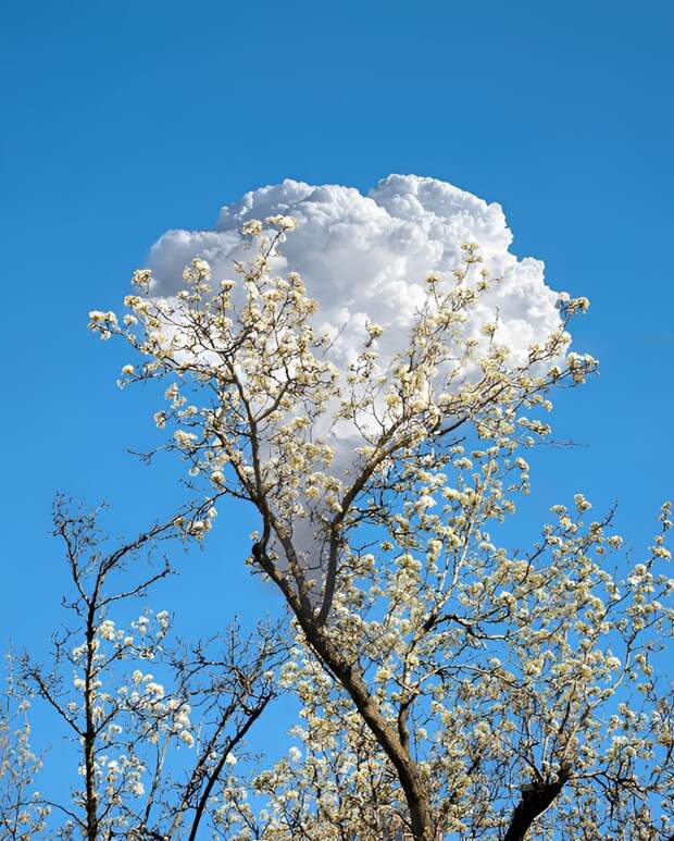 Сюр в работах корейской художницы