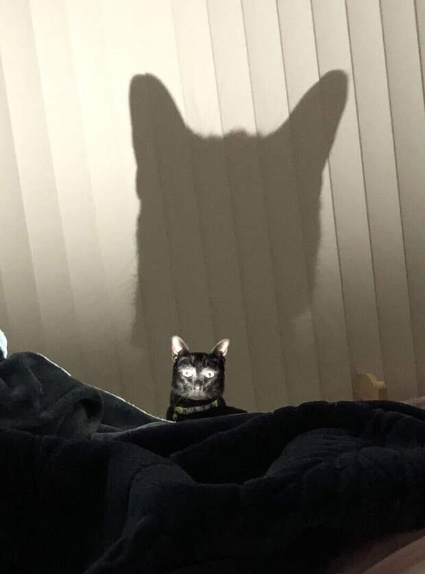 Я твой ночной кошмар Я твой ночной кошмар