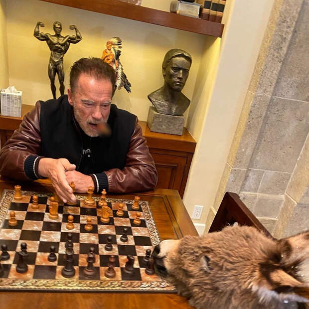 83-летний Хопкинс зажигательно станцевал с Хайек после победы на «Оскаре»