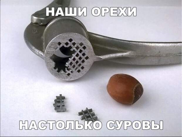 Подборка смешных фото и прикольных картинок с надписями